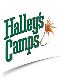 Halley\'s Camps