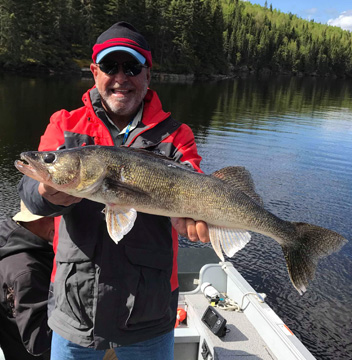 Walleye Fishing in Canada on the English River » Halley's Camps