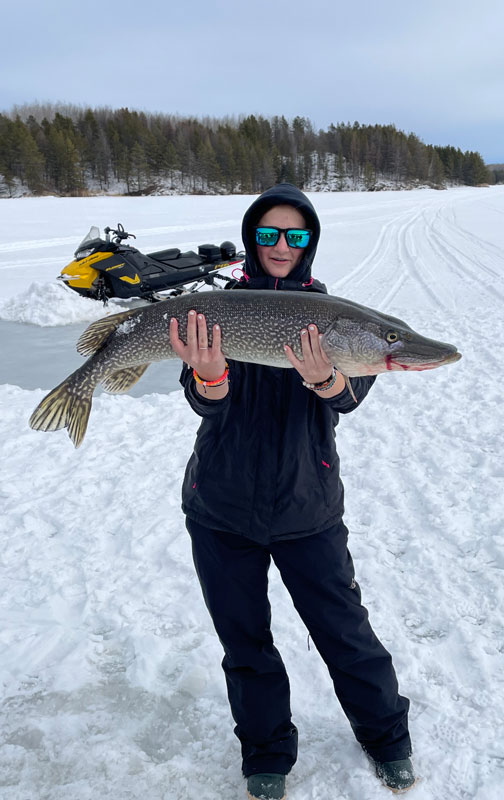 Northern pike caught through the ice