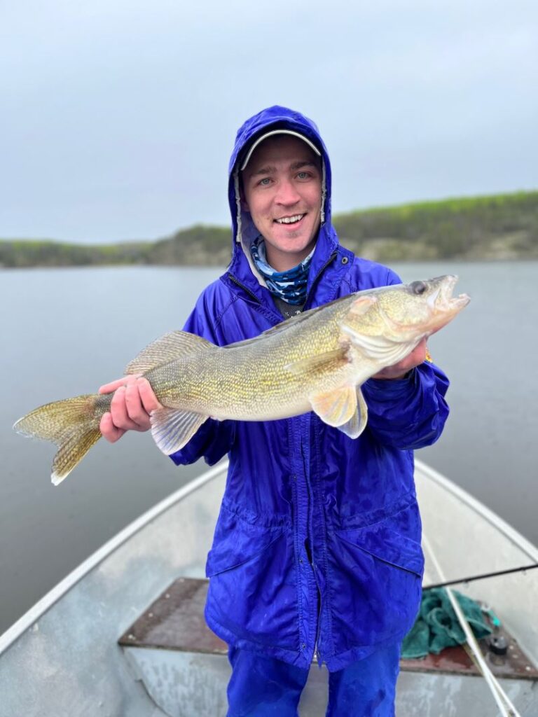 25" walleye caught and released from boat at Rex Lake!