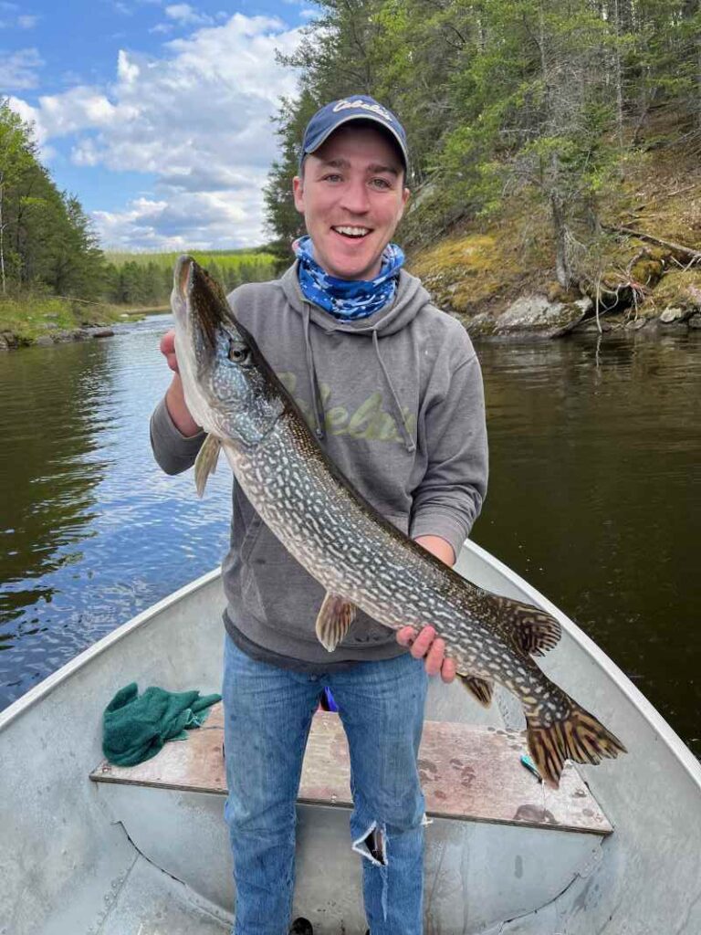 Fisheman catching northern pike from boat in the shallow Rex Lake waters!