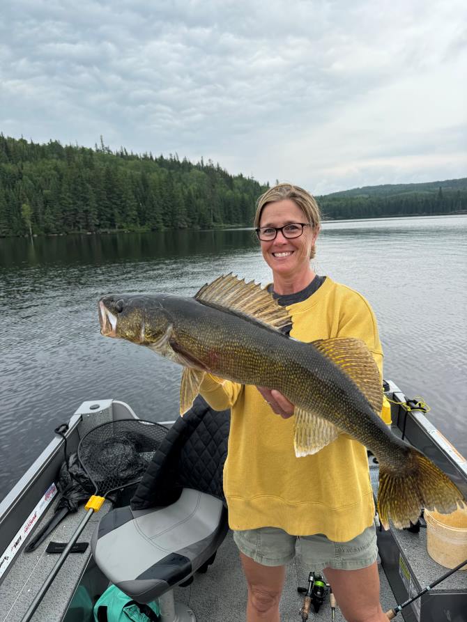 Trophy Walleye being held by a woman fisherman in a boat at Halley's Camps One Man Lake.