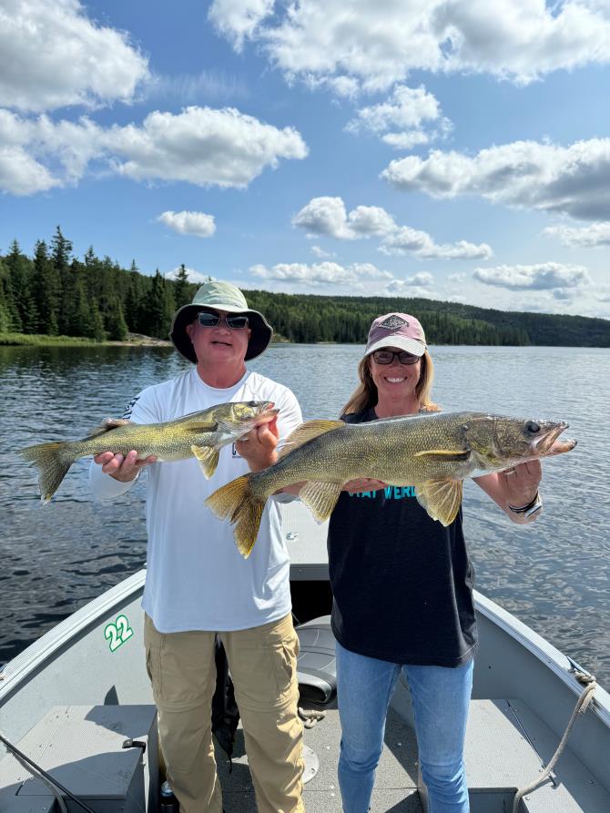 Trophy Walleye being held by a woman fisherman in a boat at Halley's Camps One Man Lake with her husband holding smaller walleye.