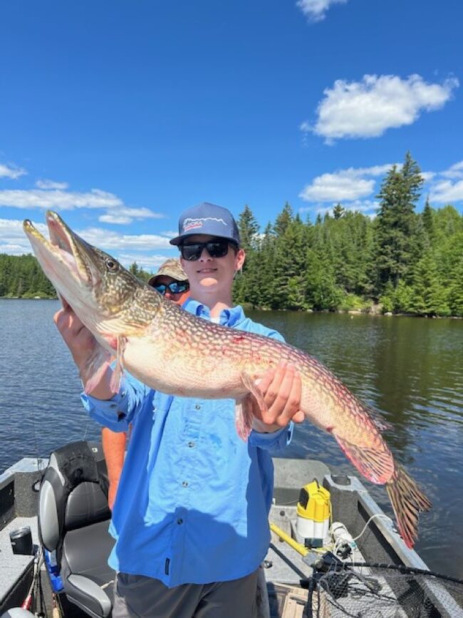 Trophy Northern pike being held by fisherman at Halley's Camps in a boat.