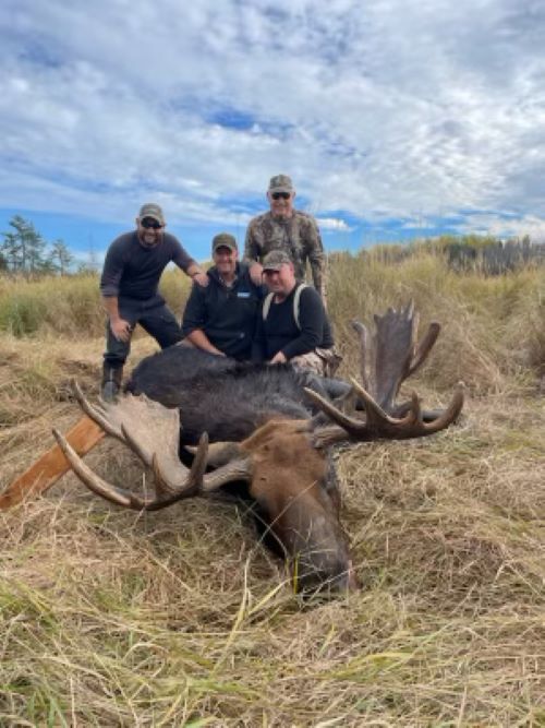 Group posing with big moose taken by rifle.