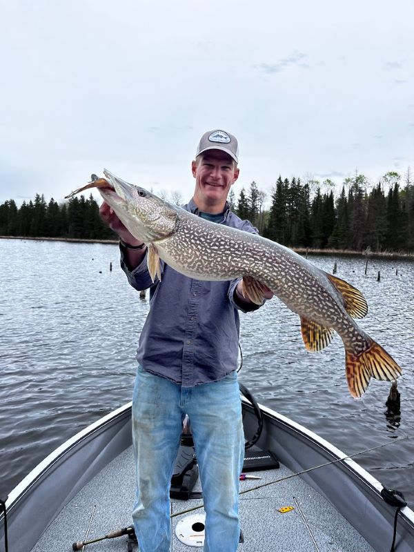 Northern Pike caught on the open water by boat 