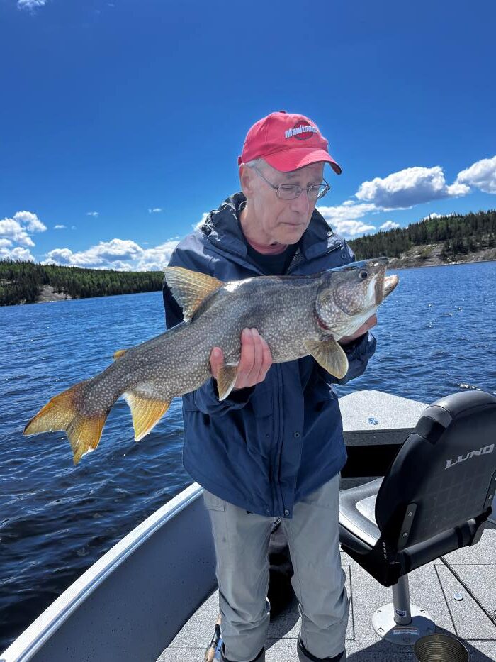 Man meeting his lake trout fish for the first time fishing Halley's Camps.