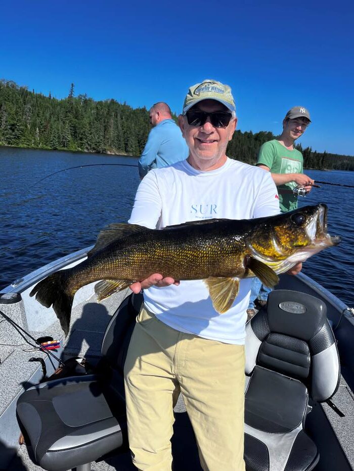 Trophy Walleye being held by a fisherman in a boat at Halley's Camps Caribou Falls Landing.