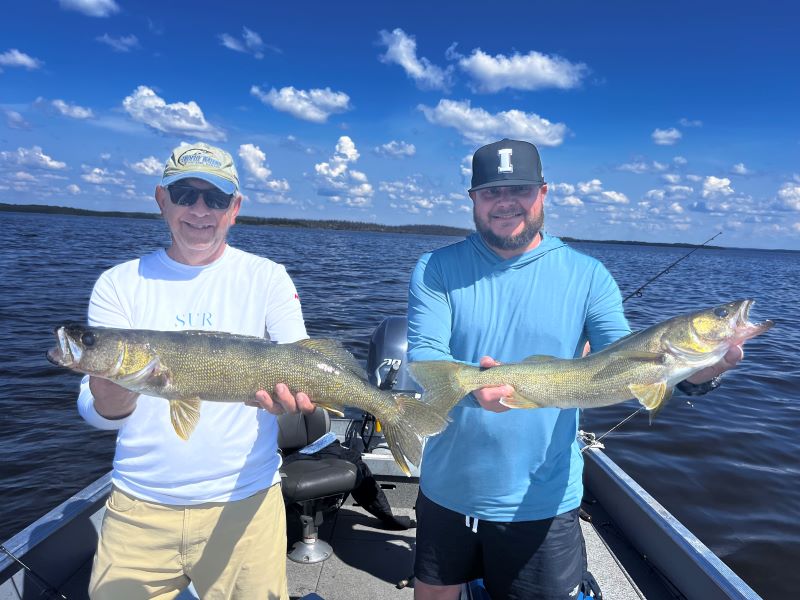 2 Walleye being held by 2 fisherman in a boat at Halley's Camps Caribou Falls Landing.