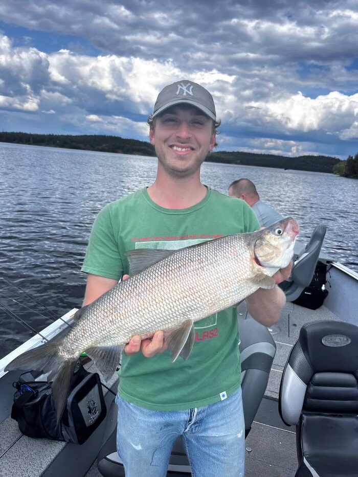 Trophy Walleye being held by a fisherman in a boat at Halley's Camps Caribou Falls Landing.