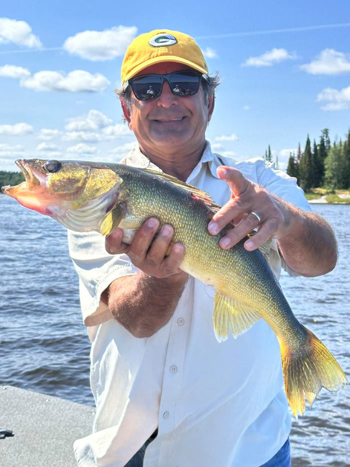 Man holding a walleye in a boat on the English River at Halley's Camps!