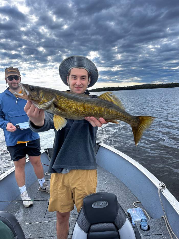 Fisherman catches beautiful walleye with yellow/gold tones