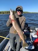 Sunny picture of man holding northern pike fish in boat.