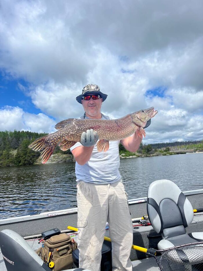 Man holding a large northern pike that is over a meter long!